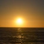 CambriaCN_164 (October 25, 2014)